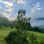 Steinweiden 시몬스발드