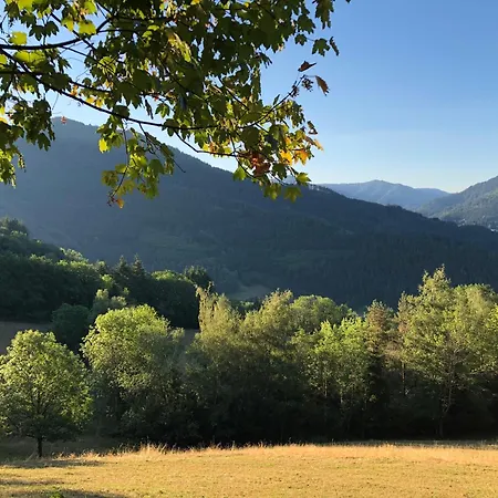 Steinweiden Bed & Breakfast 3*