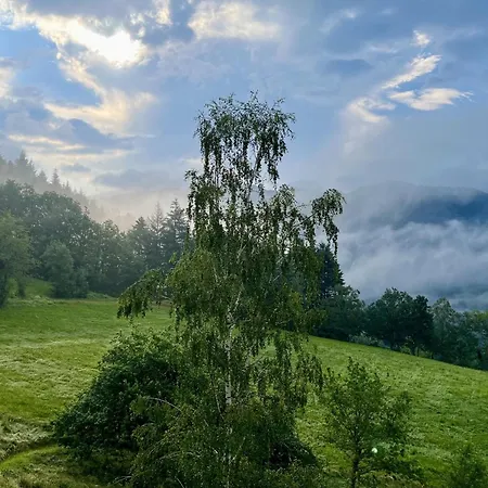 Steinweiden Simonswald