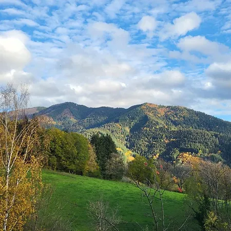 Steinweiden Oda ve Kahvaltı 3*