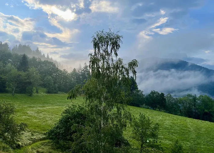 Steinweiden Simonswald