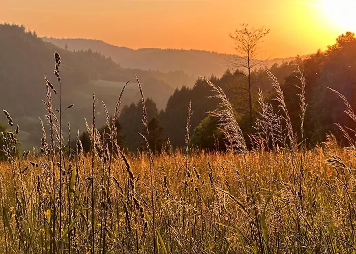 Steinweiden Simonswald
