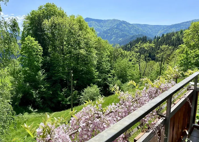 Steinweiden Simonswald